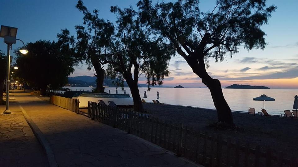 הוילה פטרה Coastline מראה חיצוני תמונה